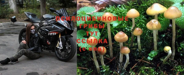 стафф Инсар